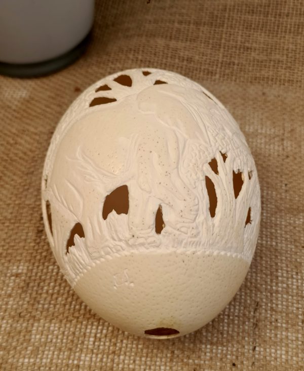 Vintage Hand Carved and Signed Ostrich Egg. Carved with elephants and leaves